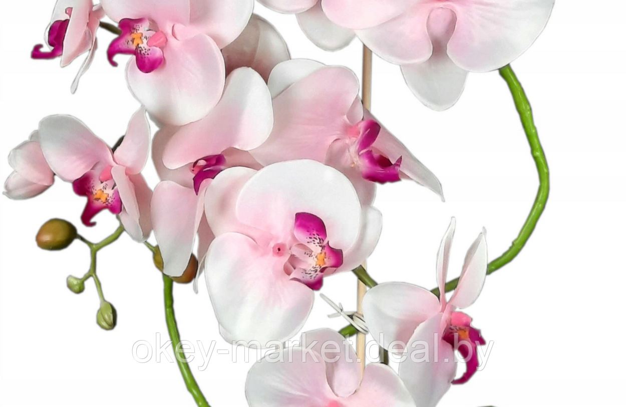 Цветочная композиция из орхидей в горшке R024 - фото 4 - id-p200174208