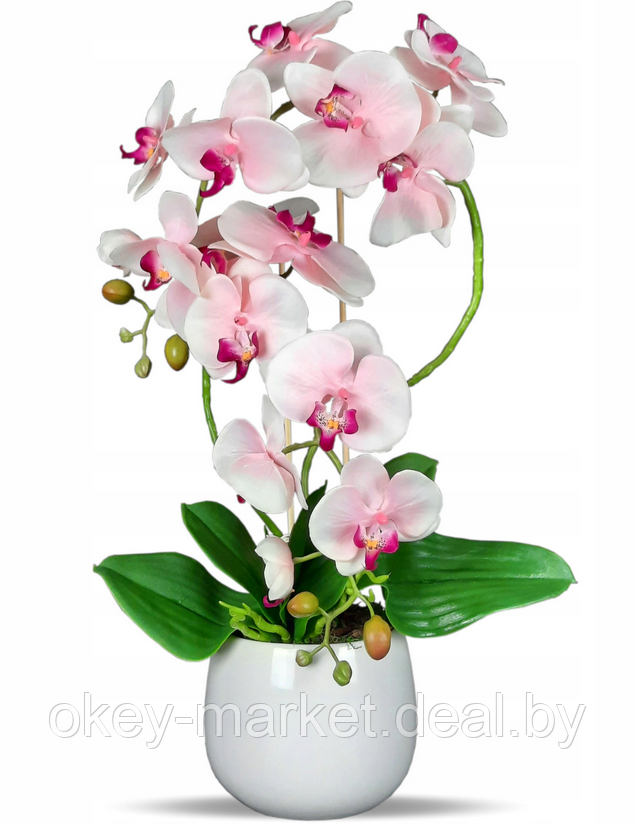 Цветочная композиция из орхидей в горшке R023