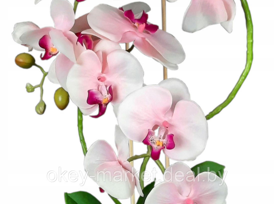 Цветочная композиция из орхидей в горшке R023 - фото 3 - id-p200174930