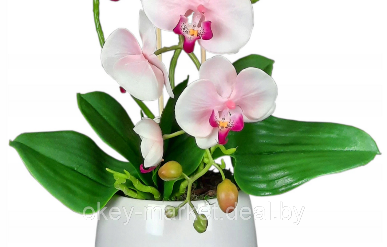 Цветочная композиция из орхидей в горшке R023 - фото 4 - id-p200174930