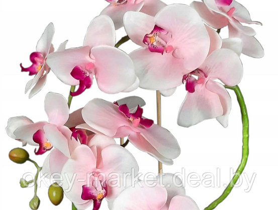 Цветочная композиция из орхидей в горшке R023, фото 3