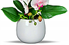 Цветочная композиция из орхидей в горшке R023, фото 2