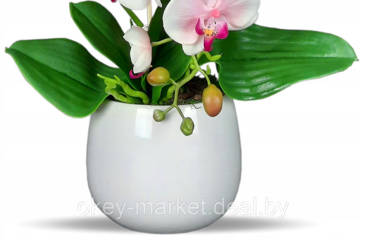 Цветочная композиция из орхидей в горшке R023 - фото 6 - id-p200174930