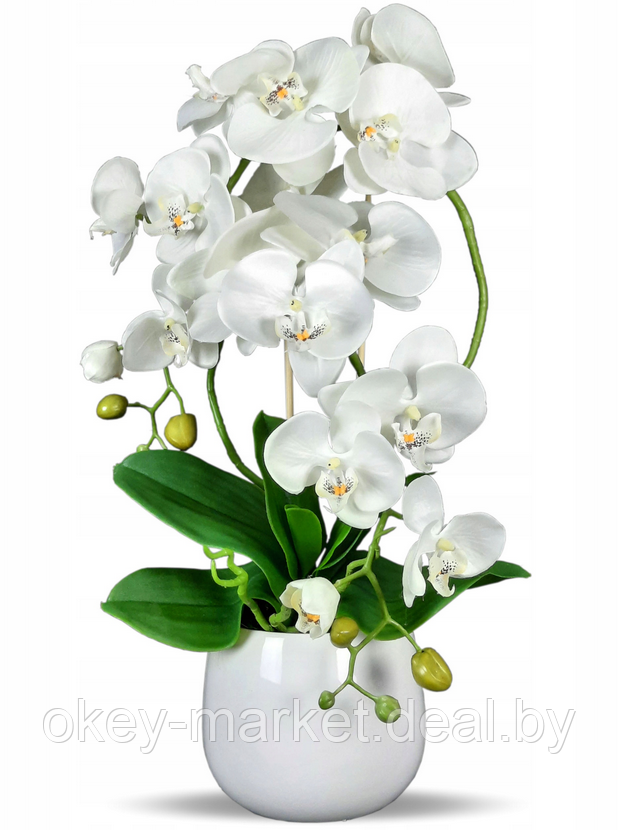 Цветочная композиция из орхидей в горшке B023