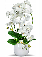 Цветочная композиция из орхидей в горшке B023