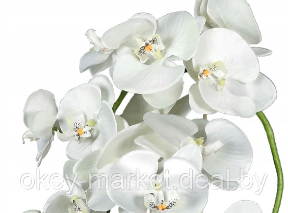 Цветочная композиция из орхидей в горшке B023, фото 2