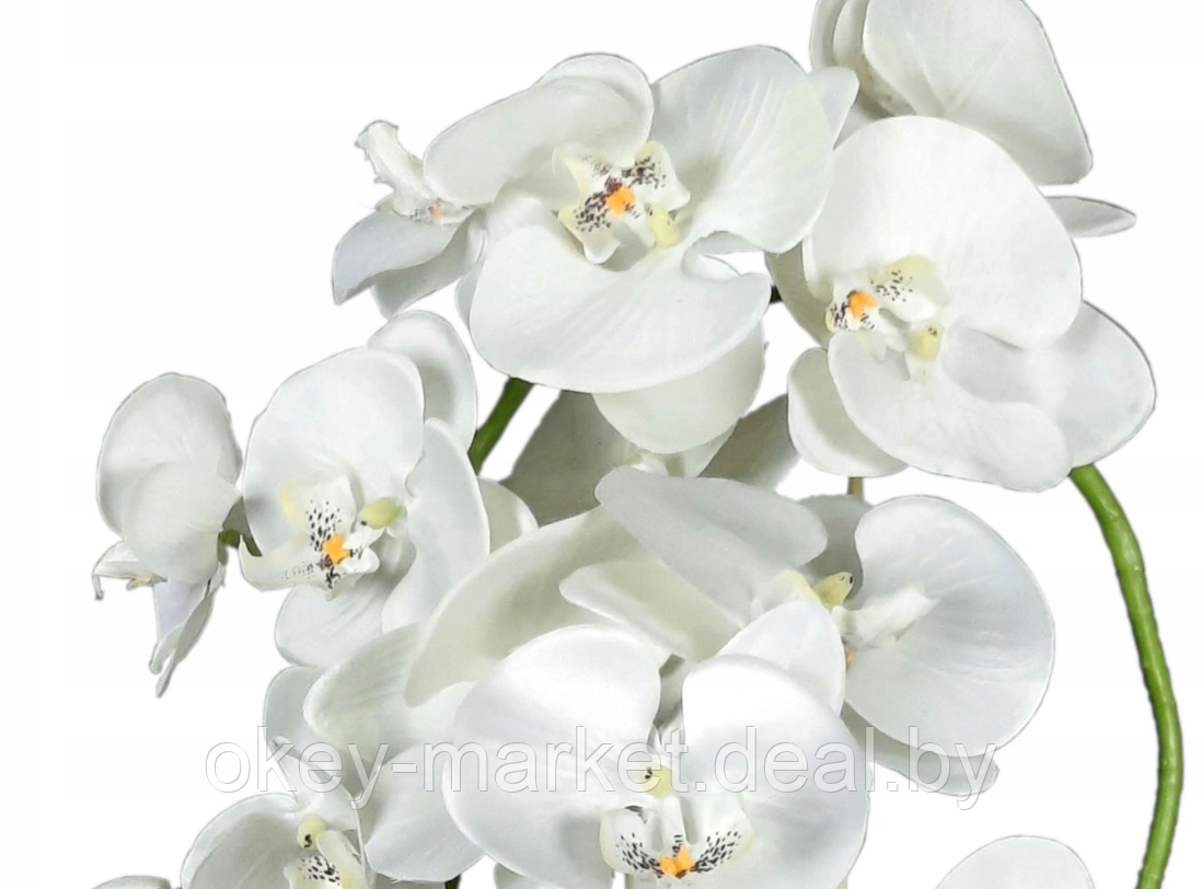 Цветочная композиция из орхидей в горшке B023 - фото 4 - id-p200175533