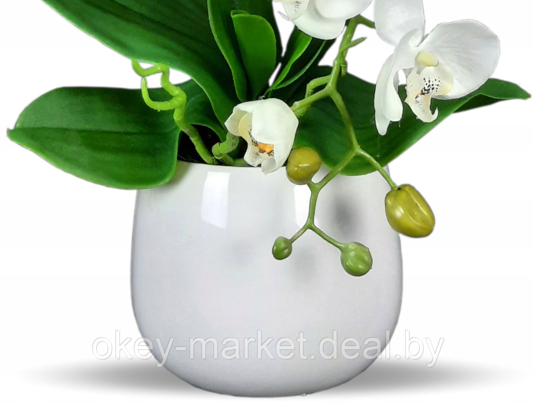 Цветочная композиция из орхидей в горшке B023 - фото 3 - id-p200175533