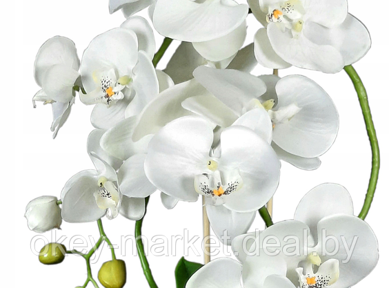 Цветочная композиция из орхидей в горшке B023, фото 3
