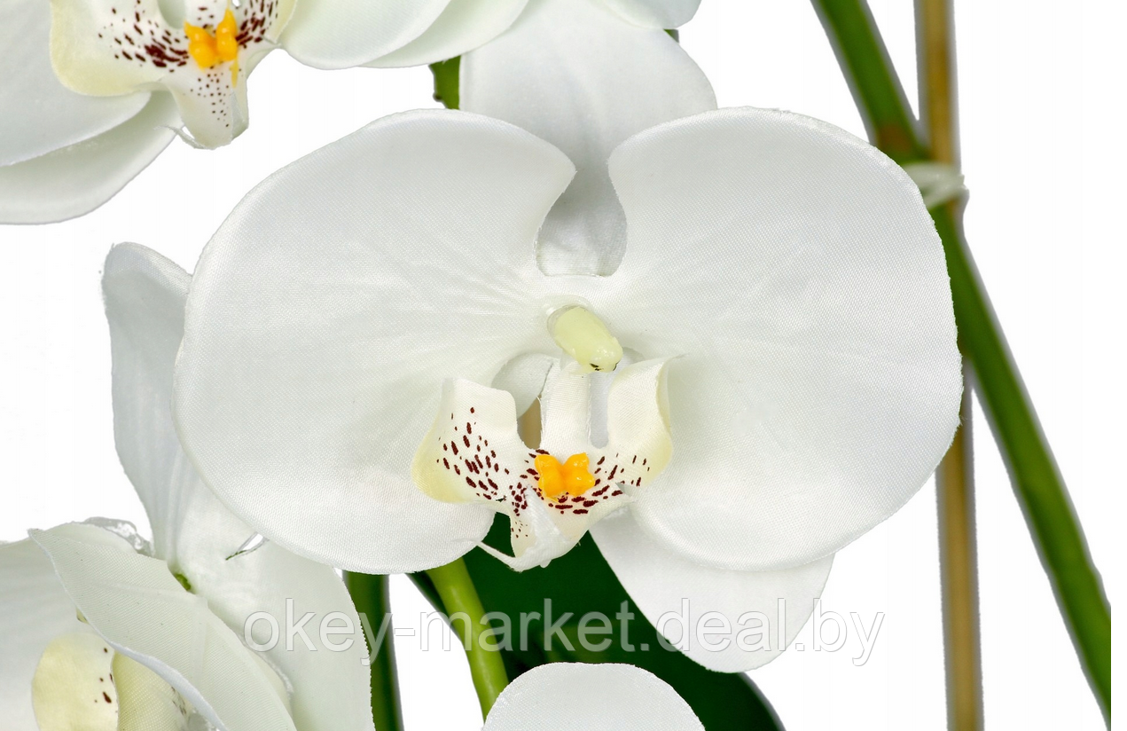 Цветочная композиция из орхидей в горшке B023 - фото 7 - id-p200175533