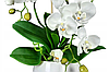 Цветочная композиция из орхидей в горшке B023, фото 2