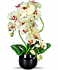 Цветочная композиция из орхидей в горшке K023, фото 3