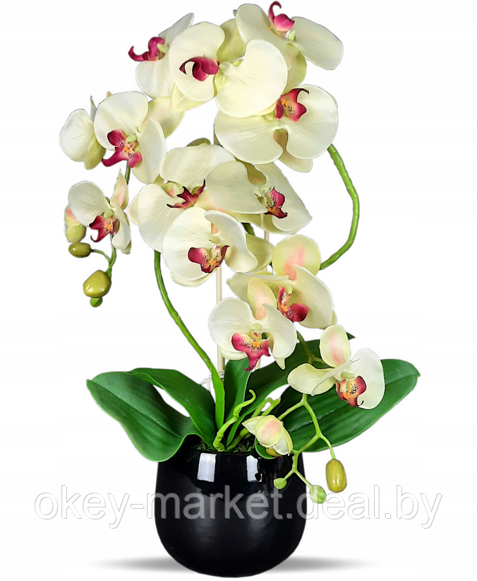 Цветочная композиция из орхидей в горшке K023 - фото 7 - id-p200174178