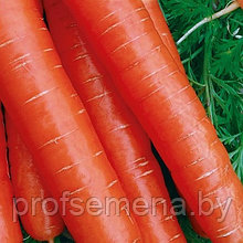 Морковь столовая Амстердам, семена, 2гр., Польша, (сдв)