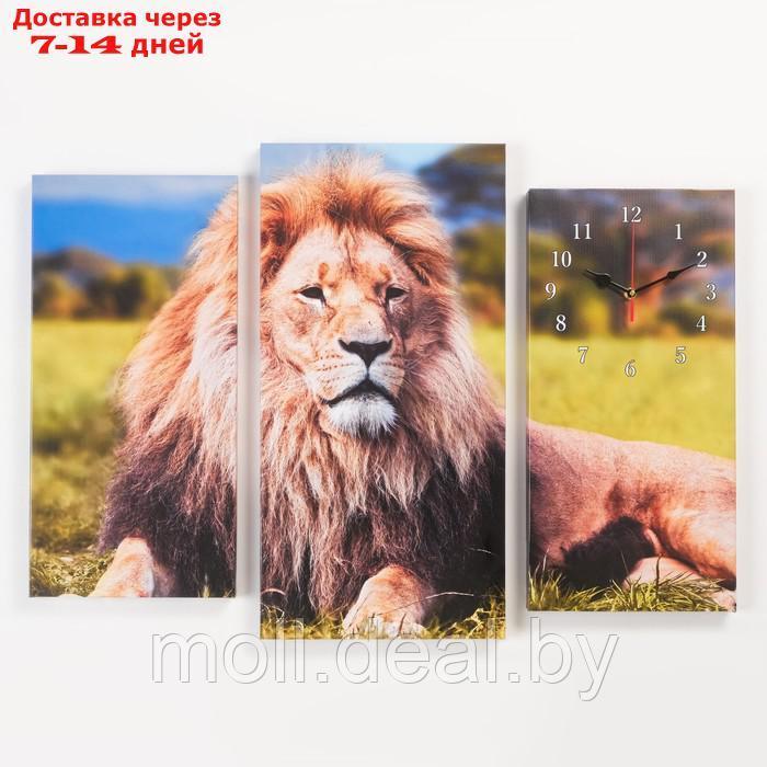 Часы настенные модульные, серия: Животные, "Лев", 60 х 80 см