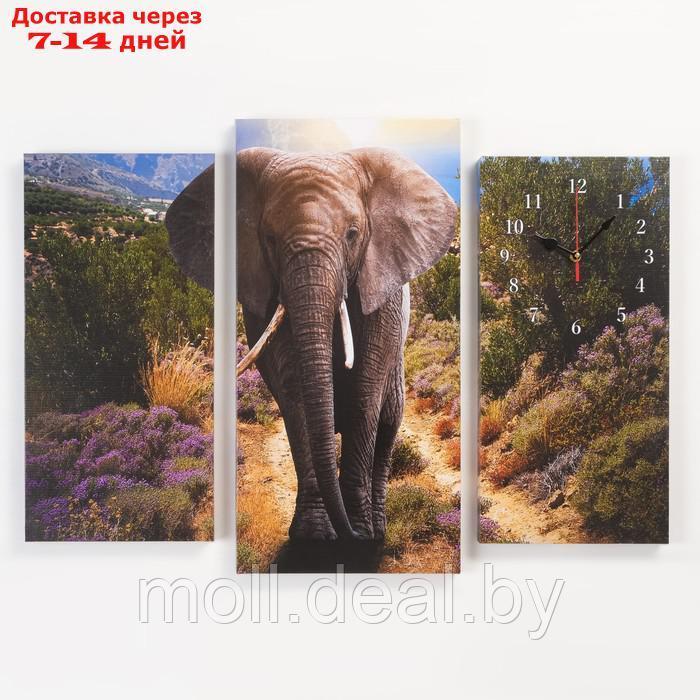 Часы настенные модульные, серия: Животные, "Слон", 60 х 80 см