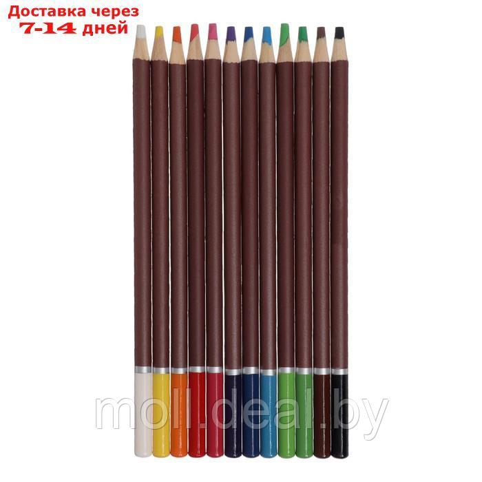 Карандаши цветные набор 12 цв BRAUBERG, пастельные, грифель 4 мм 181535 - фото 2 - id-p199815375