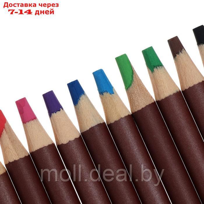 Карандаши цветные набор 12 цв BRAUBERG, пастельные, грифель 4 мм 181535 - фото 3 - id-p199815375