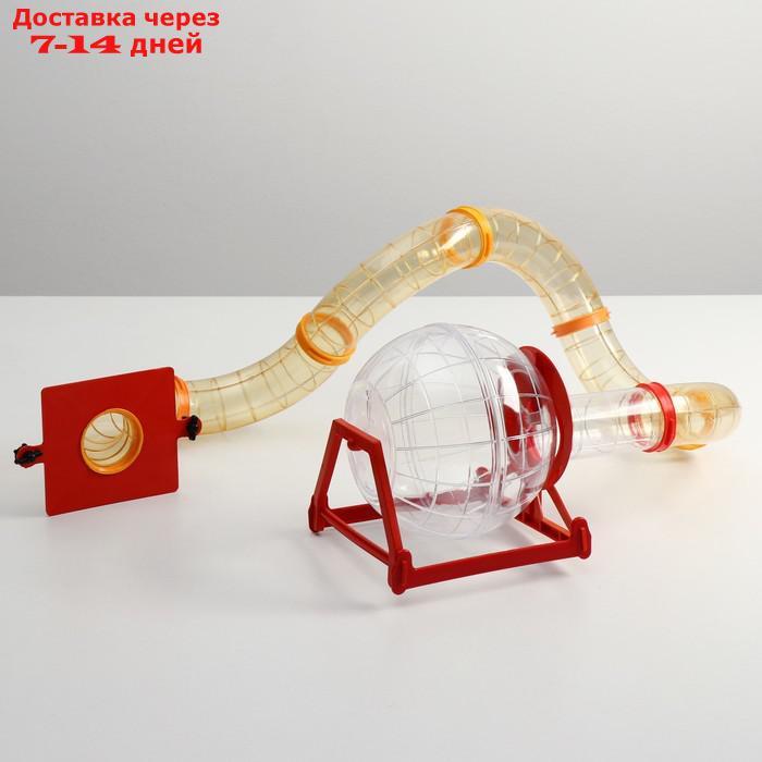 Лабиринт №7 с переходом и шаром 18 см (7 трубных элементов, диаметр 6 см), микс цветов - фото 1 - id-p200118315