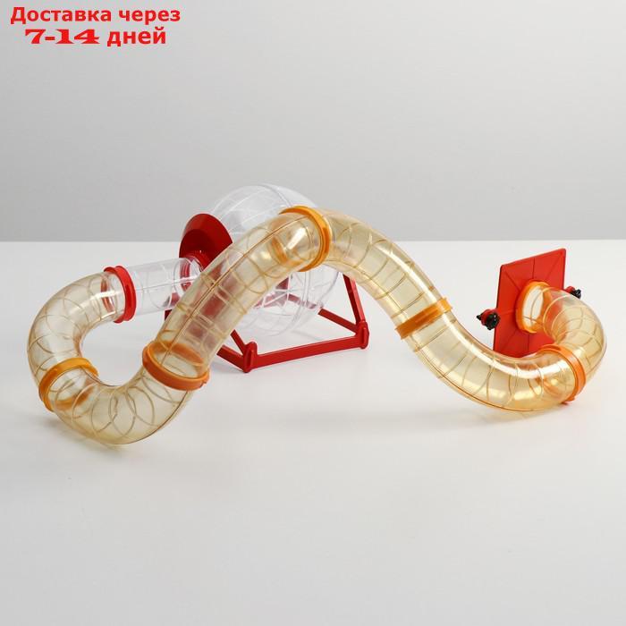 Лабиринт №7 с переходом и шаром 18 см (7 трубных элементов, диаметр 6 см), микс цветов - фото 8 - id-p200118315