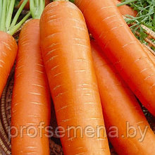 Морковь столовая Долянка, семена, 2гр., Польша, (сдв)
