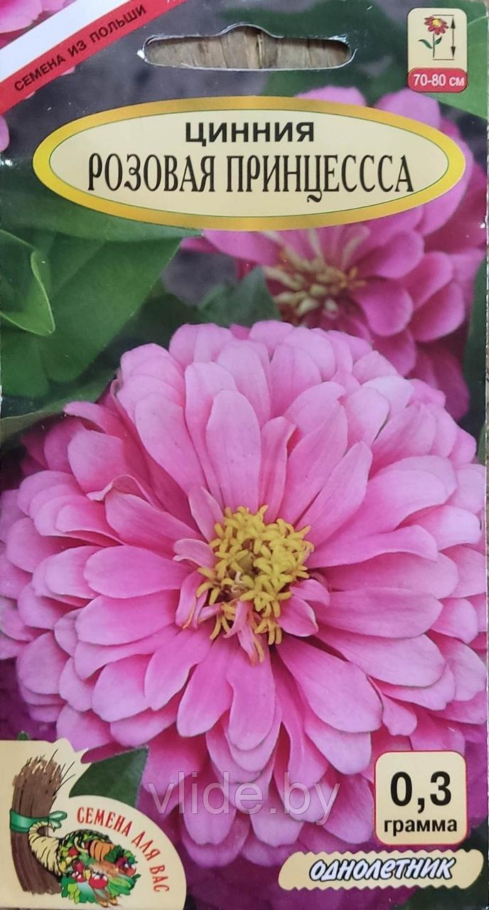 Цинния георгиноцветковая Розовая Принцесса - фото 1 - id-p200223444