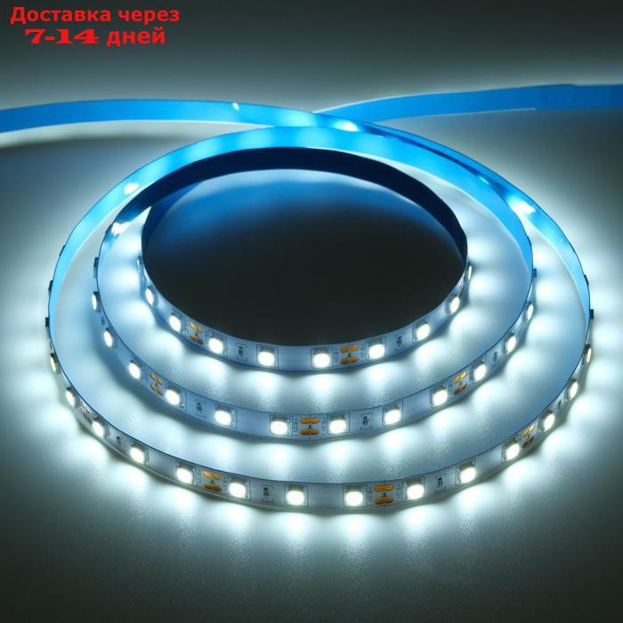 Светодиодная лента на катушке Ecola LED strip PRO, 10 мм, 12 В, 6000 К, 14.4 Вт/м, IP20, 5 м - фото 1 - id-p200118503