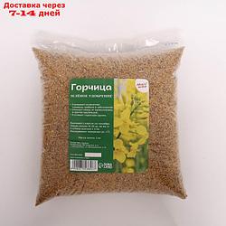 Семена Горчица, 3 кг