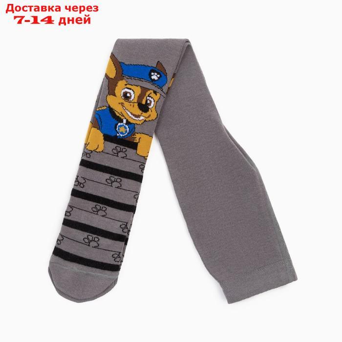 Щенячий патруль. Колготки детские "Гончик" PAW PATROL, серый, рост 86-92 см, 1,5-2 года, 80% хл.,17% п/а, 3% - фото 1 - id-p200115441