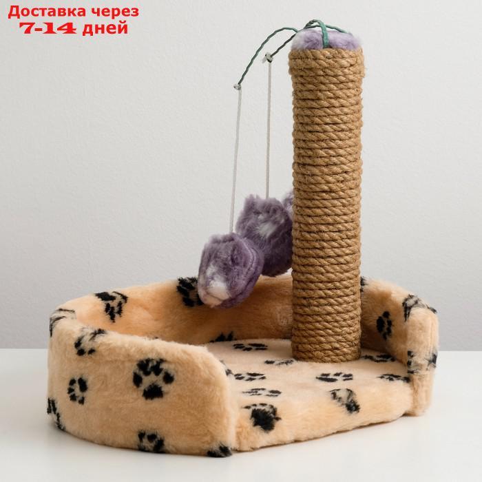 Лежанка с когтеточкой для котят, 34 х 26 х 34 см, джут, микс цветов - фото 1 - id-p200118043