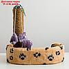 Лежанка с когтеточкой для котят, 34 х 26 х 34 см, джут, микс цветов, фото 4