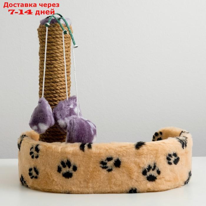Лежанка с когтеточкой для котят, 34 х 26 х 34 см, джут, микс цветов - фото 4 - id-p200118043