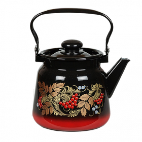 Чайник для плиты 3.5 л C2716.38