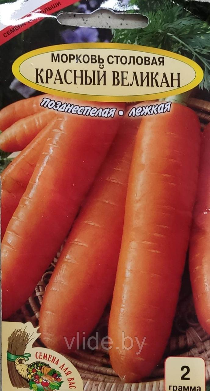 Морковь ст. Красный великан РС1 - фото 1 - id-p200231306