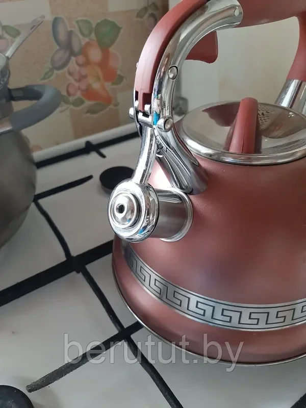 Чайник со свистком из нержавеющей стали со светоиндикатором нагрева 3л Kelli - фото 2 - id-p200302601