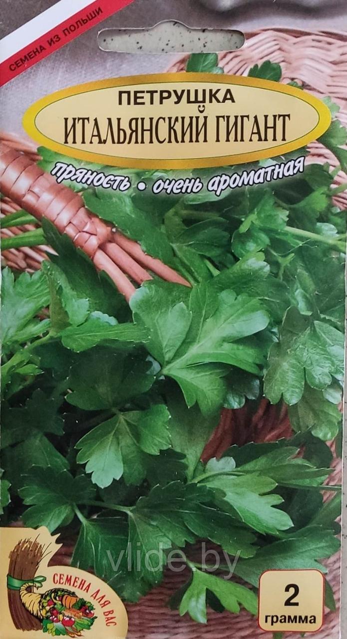 Петрушка листовая Итальянский Гигант РС1