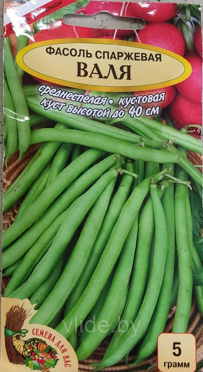 Фасоль сп. Валя РС1