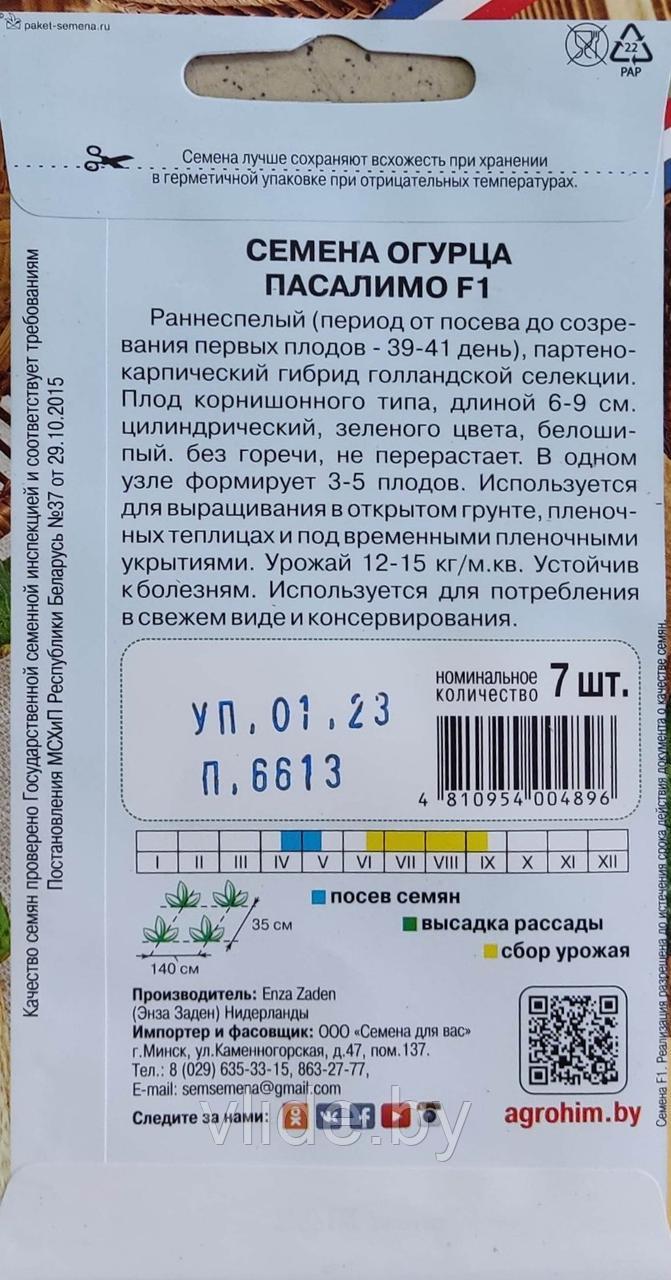 Огурец Пасалимо F1 - фото 2 - id-p200344177