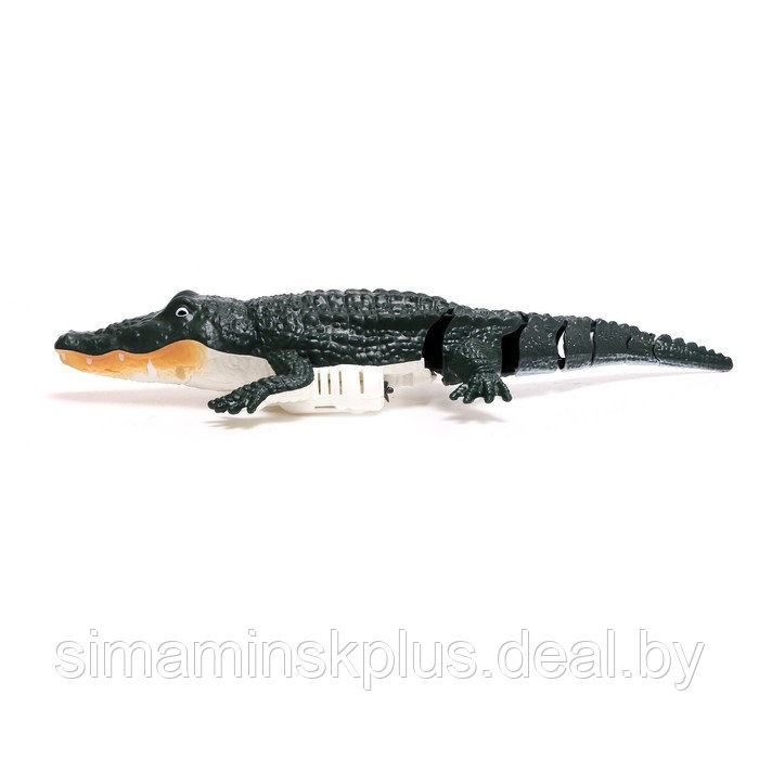 Крокодил радиоуправляемый, плавает, работает от аккумулятора, цвет зелёный - фото 2 - id-p200359975