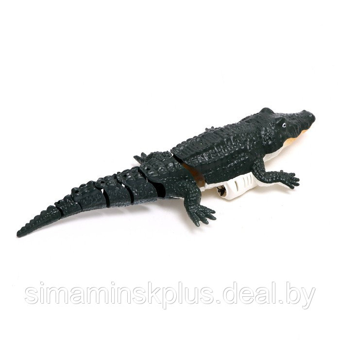 Крокодил радиоуправляемый, плавает, работает от аккумулятора, цвет зелёный - фото 3 - id-p200359975