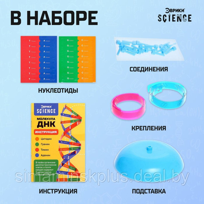 Набор для опытов «Молекула ДНК» - фото 2 - id-p200354846