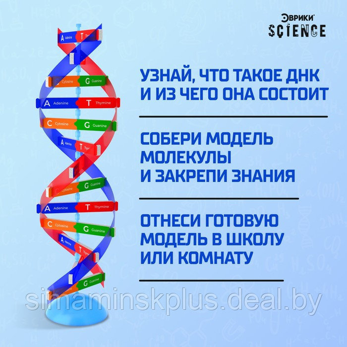 Набор для опытов «Молекула ДНК» - фото 4 - id-p200354846