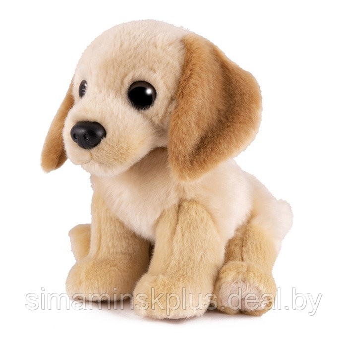 Мягкая игрушка «Собака лабрадор», 20 см - фото 1 - id-p200358020