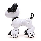 Робот-собака «Тобби», звуковые и световые эффекты, фото 2