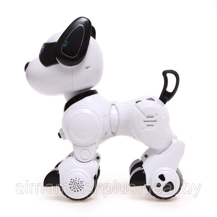 Робот-собака «Тобби», звуковые и световые эффекты - фото 2 - id-p200354989