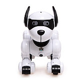Робот-собака «Тобби», звуковые и световые эффекты, фото 4