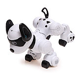 Робот-собака «Тобби», звуковые и световые эффекты, фото 6