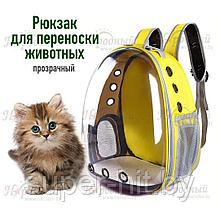 Рюкзак для переноски животных прозрачный  (разные цвета)