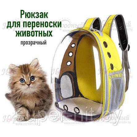 Рюкзак для переноски животных прозрачный  (разные цвета), фото 2