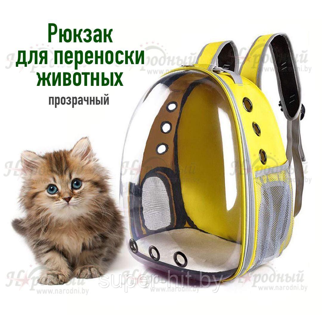 Рюкзак для переноски животных прозрачный (разные цвета) - фото 1 - id-p170605099